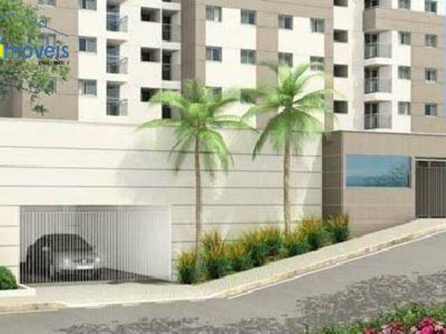 Apartamento para Locação em Ferrazópolis - 8