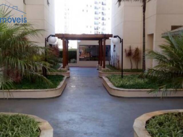 Apartamento para Venda em Baeta Neves - 17