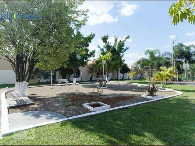 Apartamento para Venda em Baeta Neves - 11