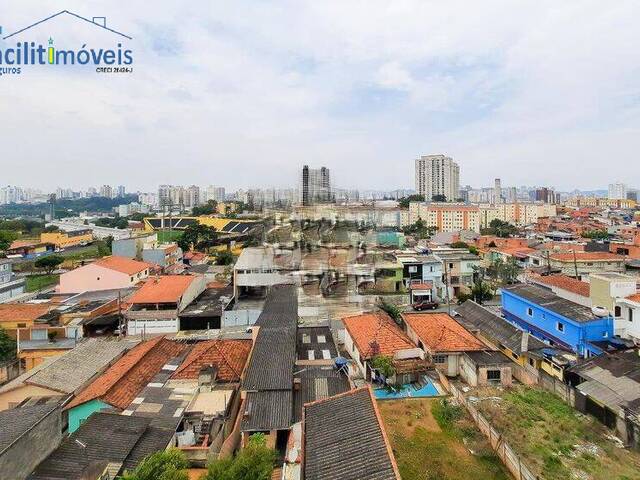 Apartamento para Venda em Vila Euclides - 70