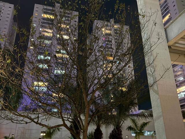 Apartamento para Venda em Centro - 33