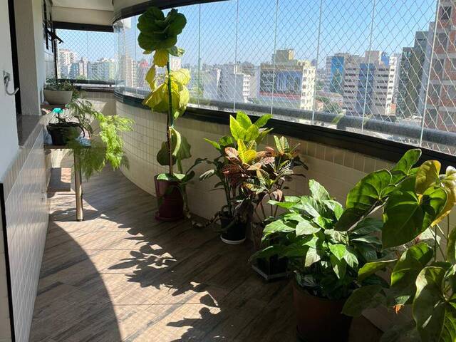 Apartamento para Locação em Santo André - 5