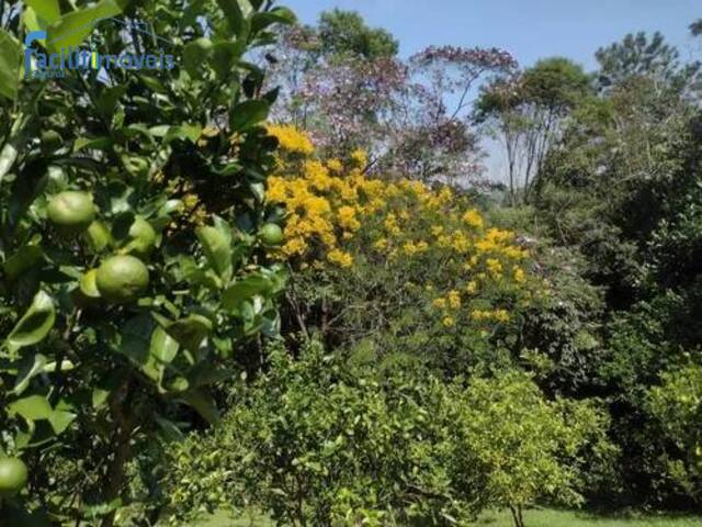Chácara para Venda em Tatetos - 15