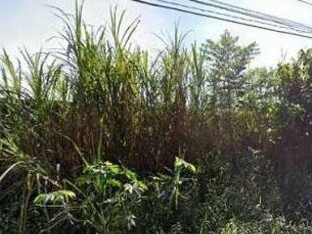 Área para Venda em São Bernardo do Campo - 4