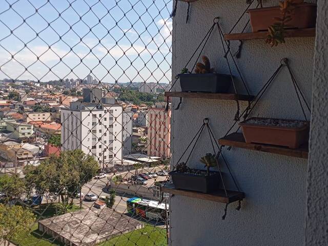 Apartamento para Venda em Santa Terezinha - 7