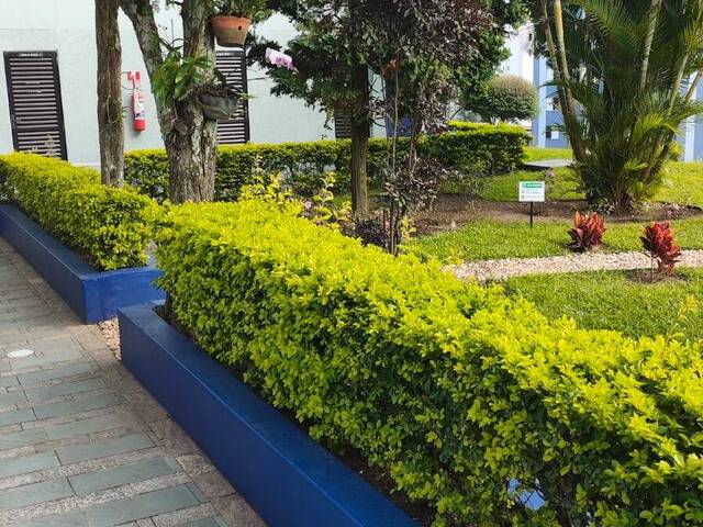 Apartamento para Venda em Santa Terezinha - 26