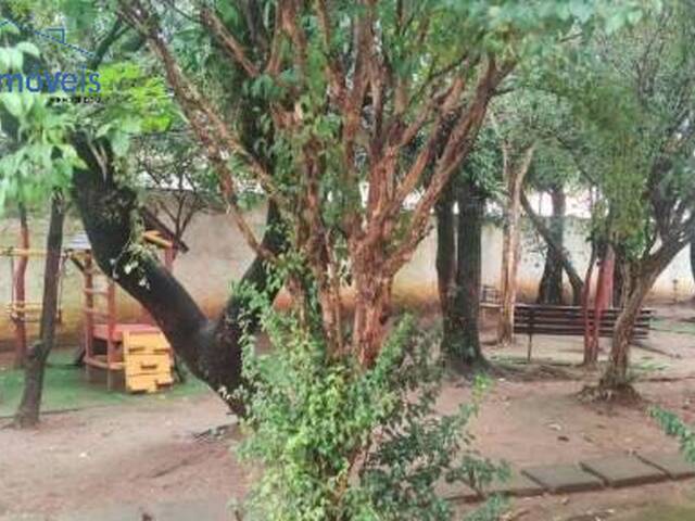 Apartamento para Locação em Jordanópolis - 12