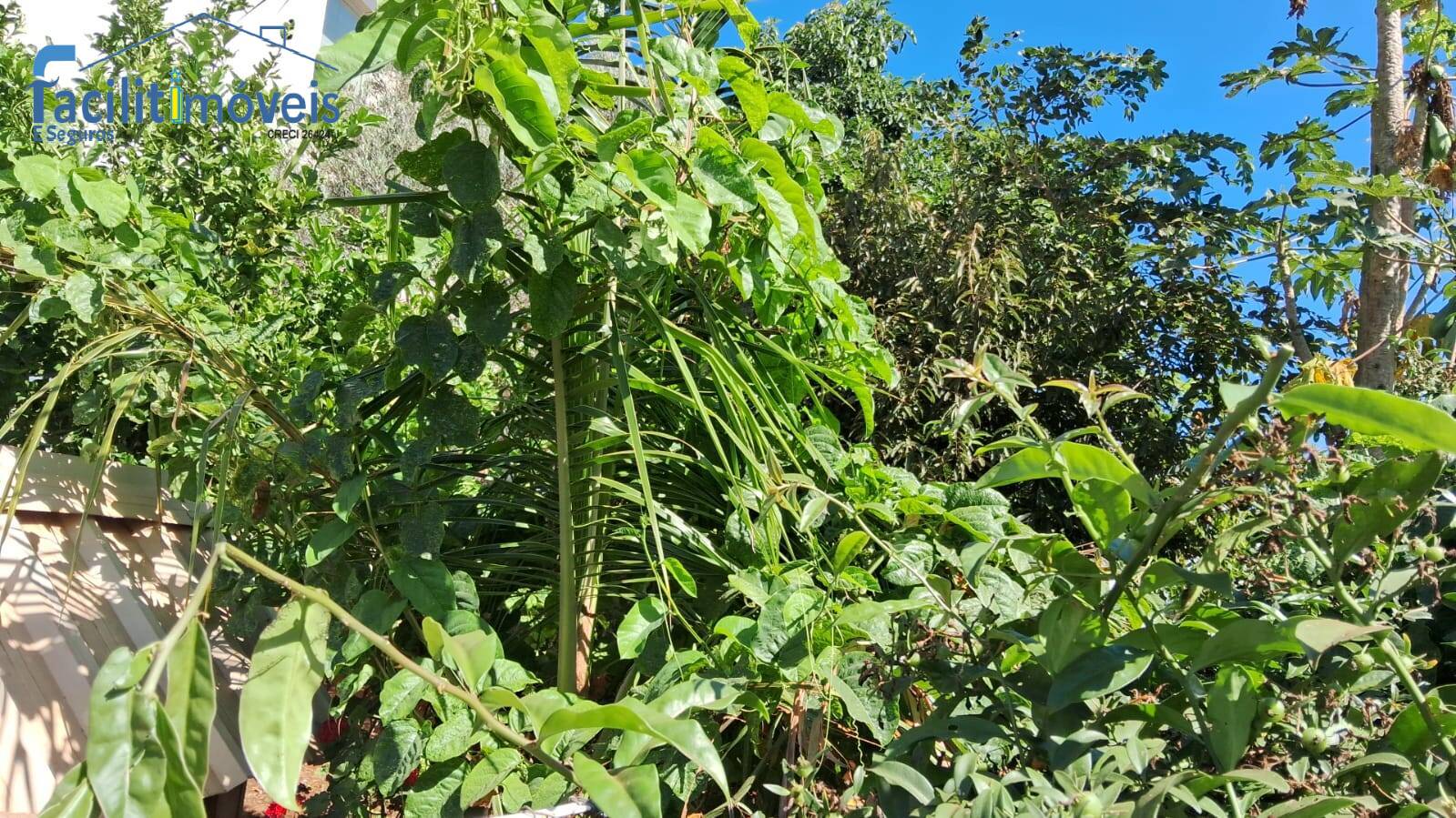 Sobrado para Venda em Itaí - 22