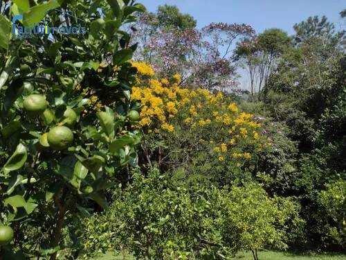 Chácara para Venda em São Bernardo do Campo - 15