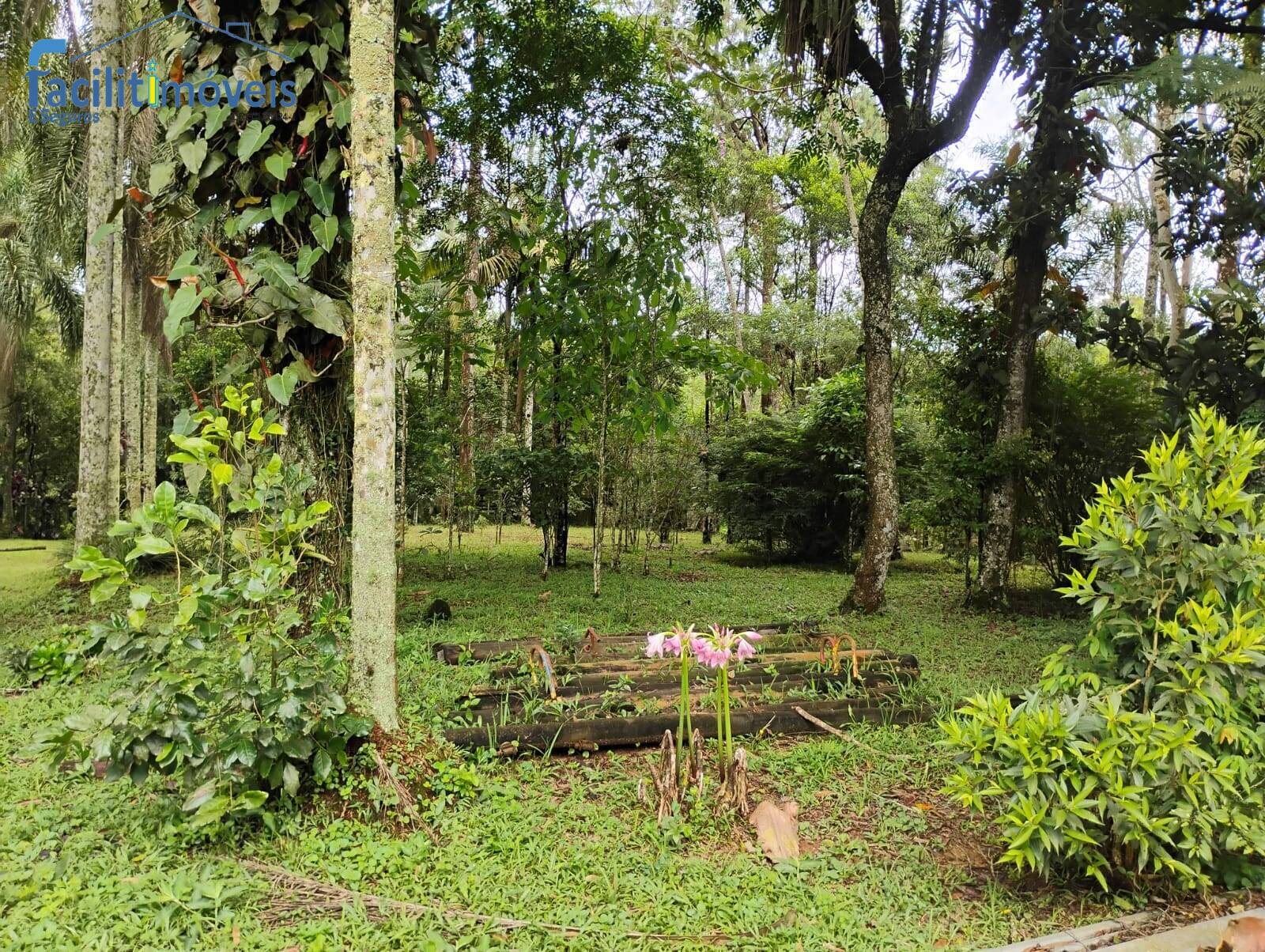 Chácara à venda com 3 quartos, 6007m² - Foto 5