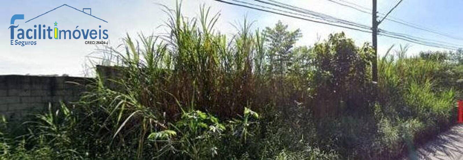 Terreno, 1 hectares - Foto 4